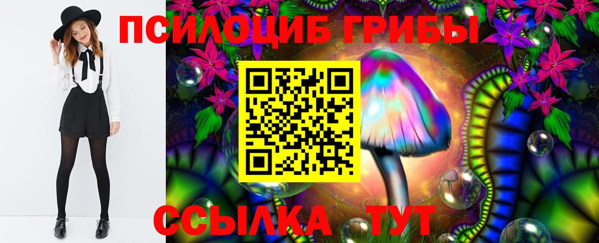 Псилоцибиновые грибы MAGIC MUSHROOMS  Галлюциногенные грибы Psilocybe  Вход с VPN  Волжский 