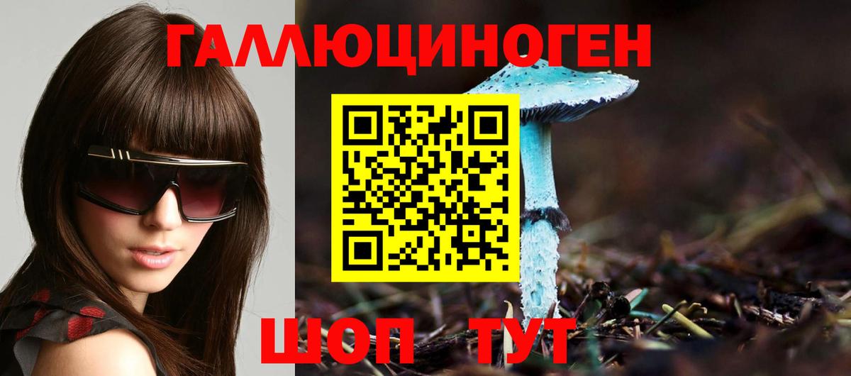Галлюциногенные грибы Cubensis Волжский